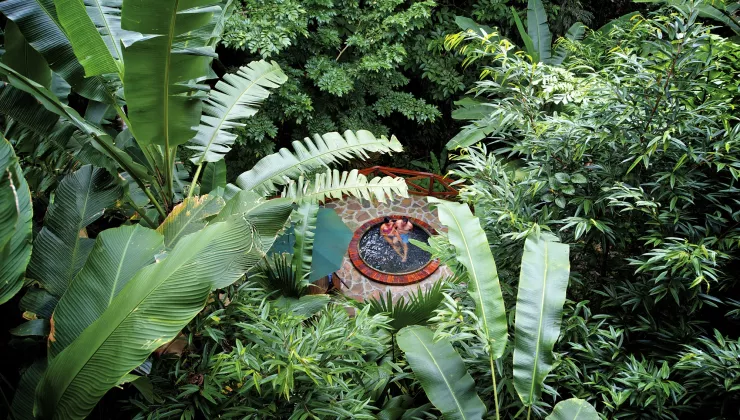 Outdoor hot tub surrounded by tall plants and trees