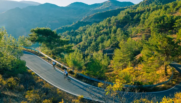 Group of people biking on an empty road with a forest in the background