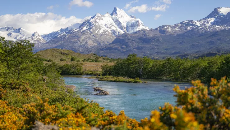 Large lake surrounded by bushes and plants, with snow-capped mountains in the distance