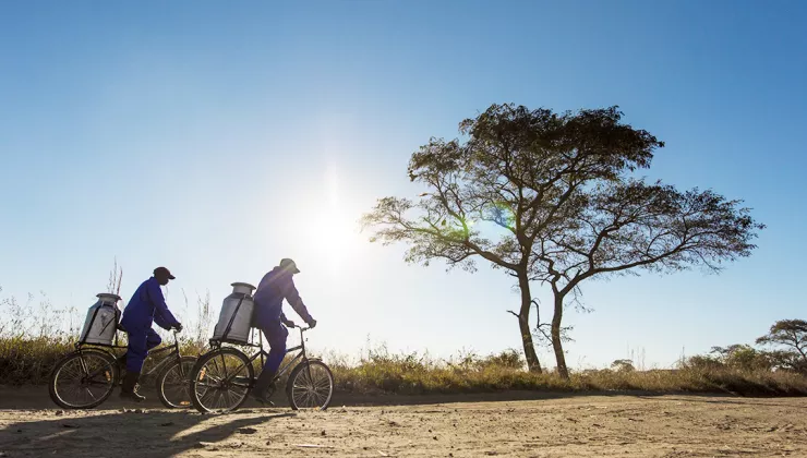 Two people riding bikes with large water bins attached, with a dried tree in the distance