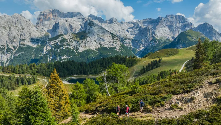 3 hikers descending a trail surrounded by trees and tall mountains