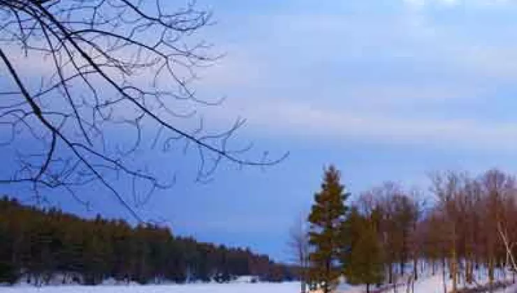 Winter blues snowy landscape