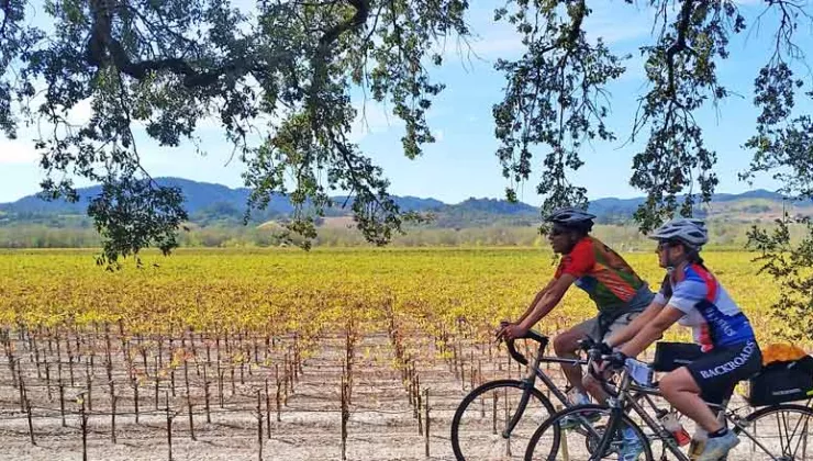 California Wine Country Biking