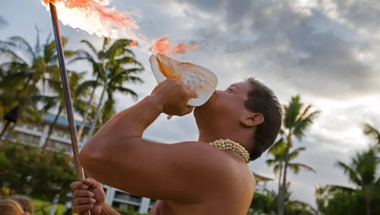 Hawaiian fire dancer