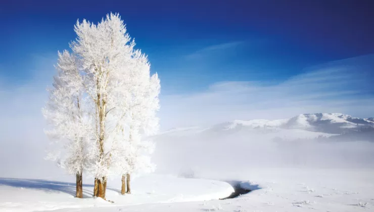 Winter in Yellowstone with Backroads