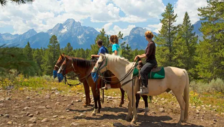 Riding Horses with Backroads in Yellowstone