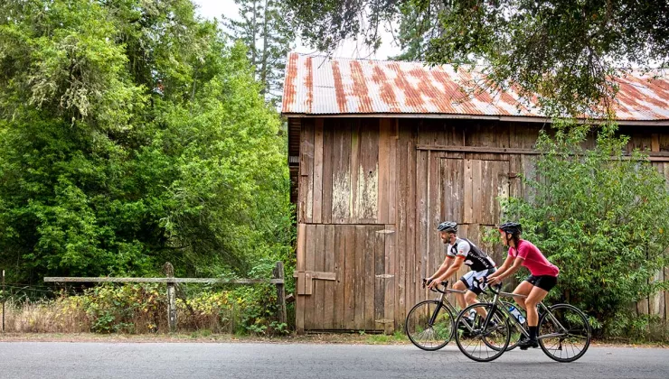 Backroads Bike Tour Wine Country