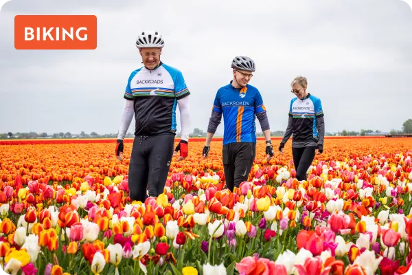 Bikers walking through a field of pink tulips