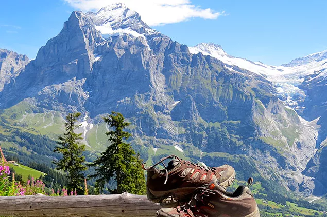 Backroads Press Releases