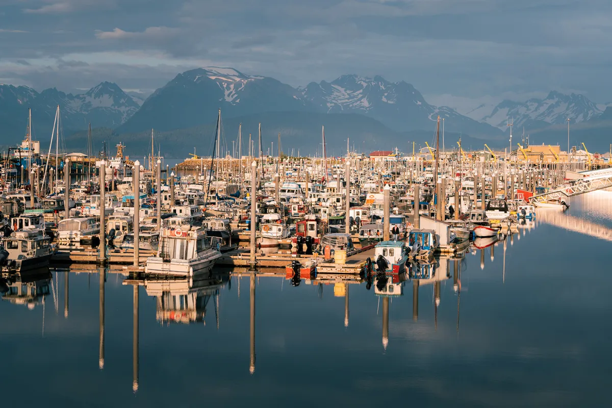 Many small boats parked in a harbor in Alaska.
