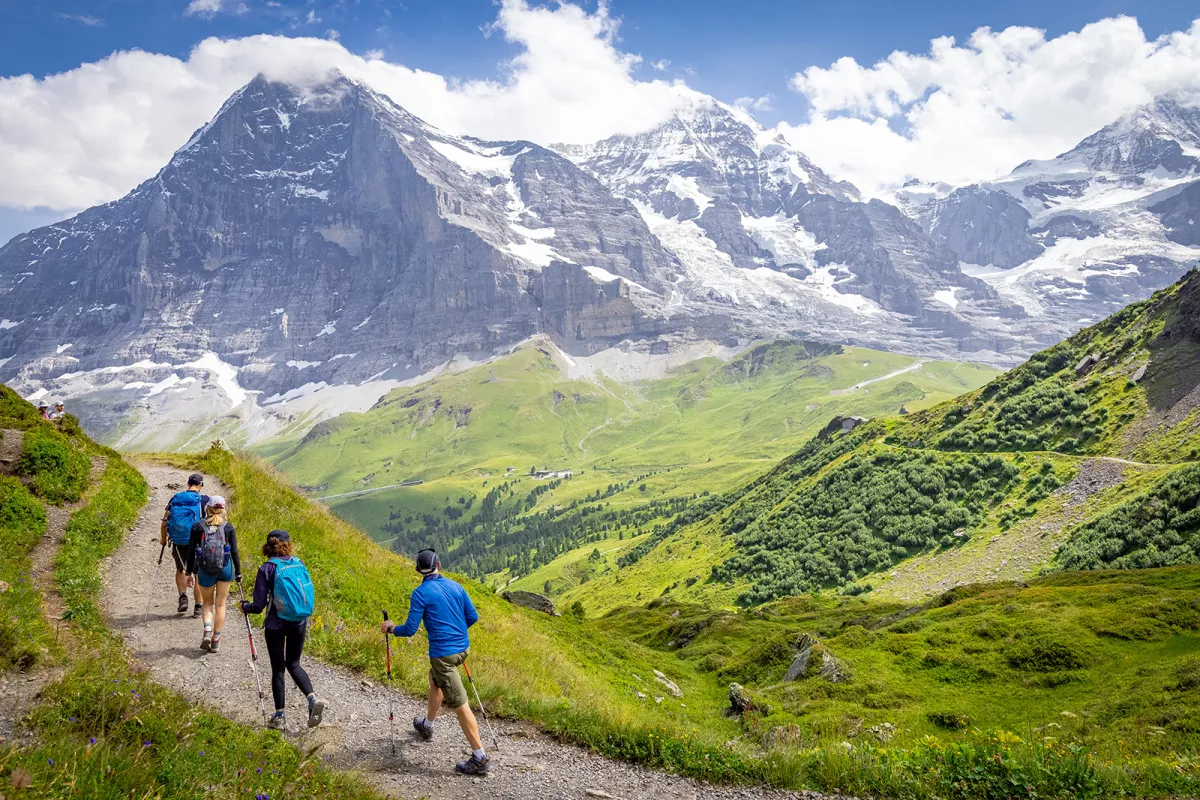 Four guests hiking on grassy road, Mount Eiger in background. 