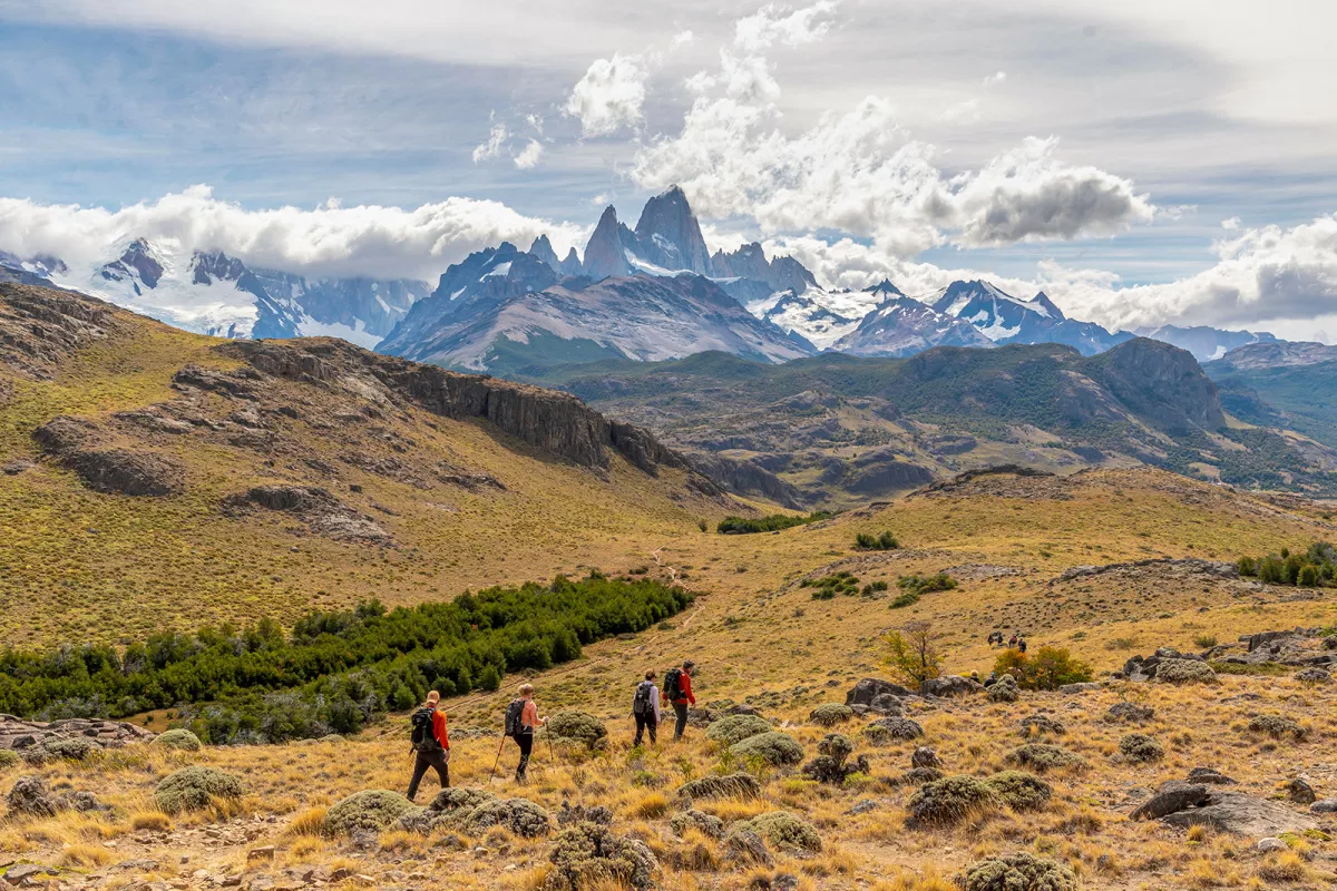 Four guests trekking over grassy, rocky meadow, large snowy mountains in background.