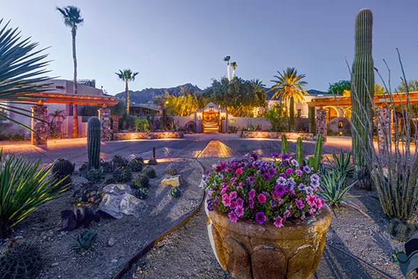 entrance to hotel lined with cacti