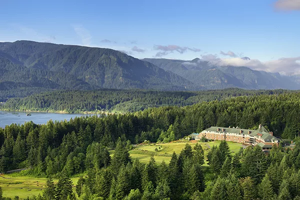 Landscape with pine trees and mountain in the background