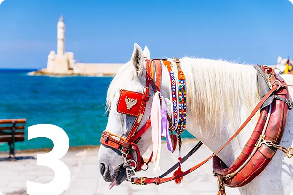 text:3; image: Horse walking on a beach with a lighthouse in the background