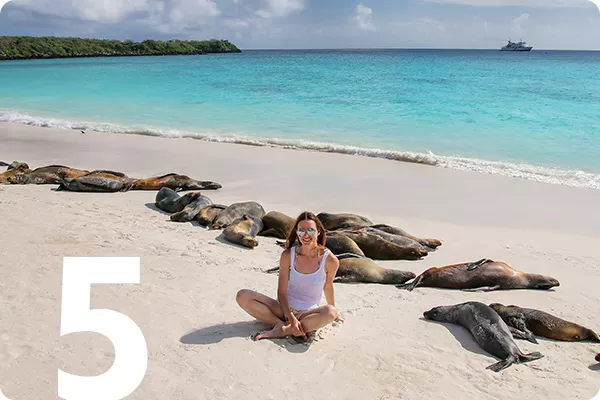 text:5; image: woman sitting on a beach surrounded by seals