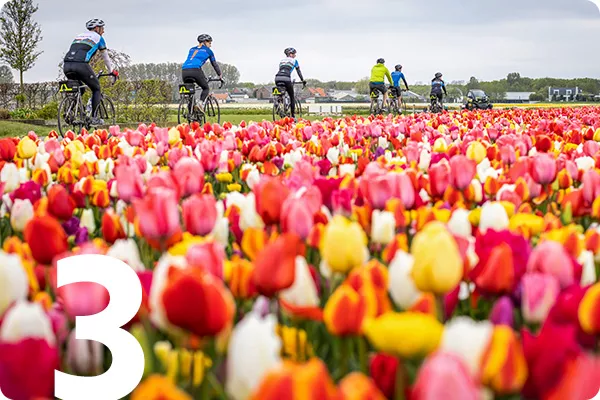 text:3; image: field of tulips with bikers in the background