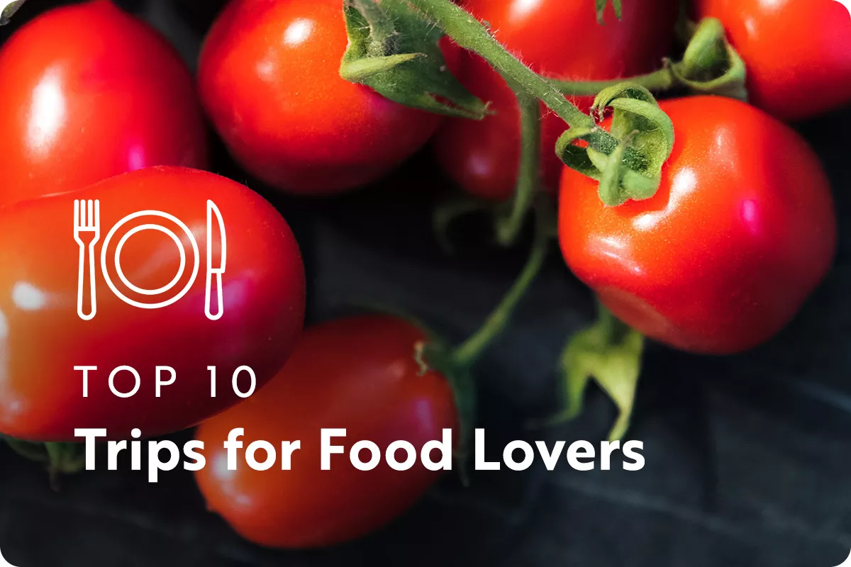 text: top 10 trips for food lovers; image: tomatoes on the vine