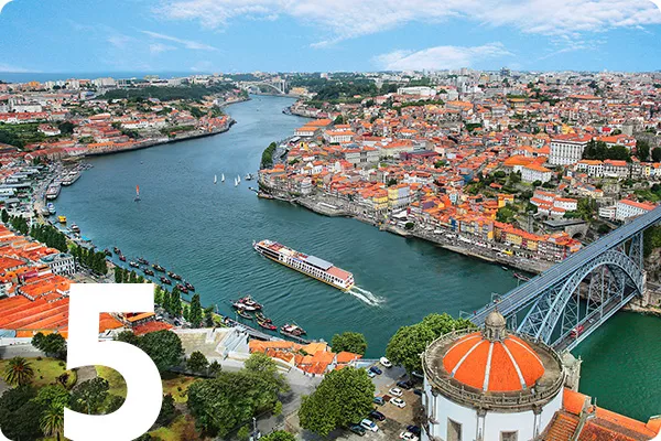Aerial view of Douro River 