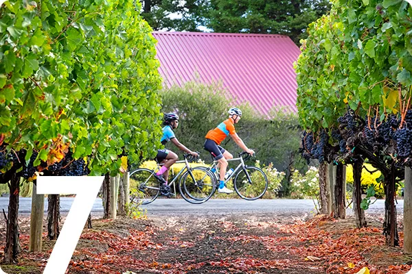 text:7; image: Bikers biking through a wooded area