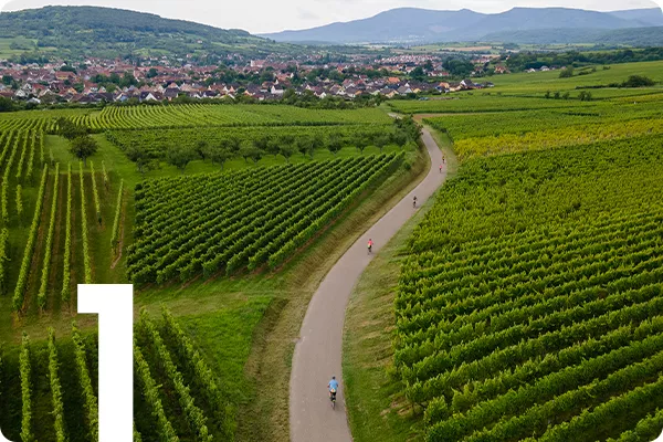 text:1; image: People biking down a windy road through farmland