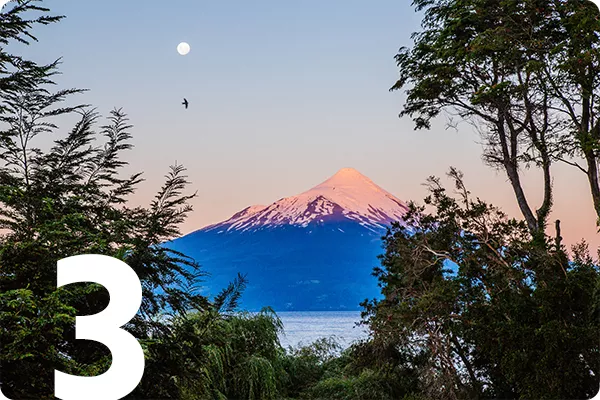 text:3; image: Tree branches in front of snow capped mountain 