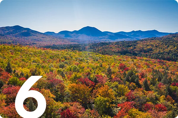 text:6; image: colorful trees in front of a mountain range