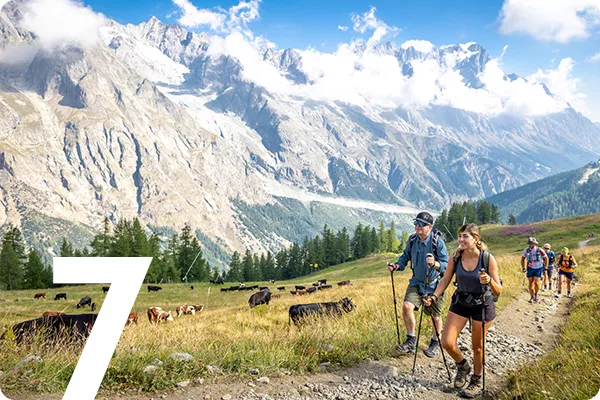 text:7; image: hikers next to cattle grazing in a field with a mountain range in the background