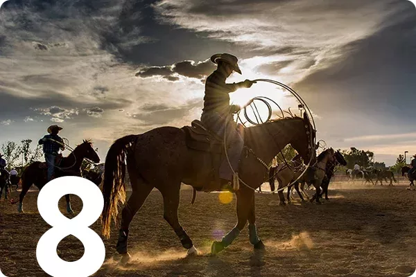 text:8; image: cowboys riding in the sunset
