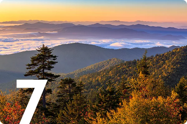 text:7; image: Sunset over mountains and forest