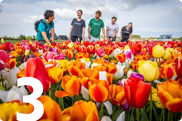 text:3; image: five people stop to admire colorful tulips