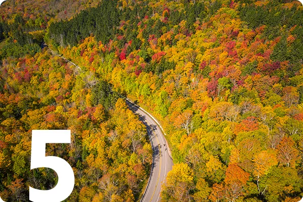 text:5; image: a road winding through trees with changing leaves