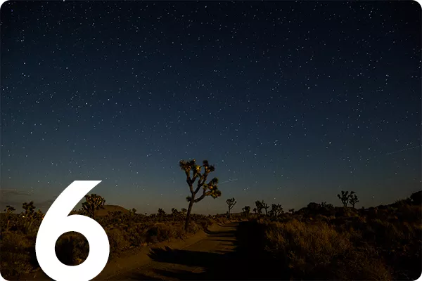 text:6 ; image: night sky over joshua trees