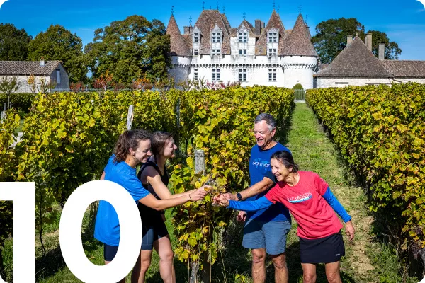 People drinking wine at a vineyard