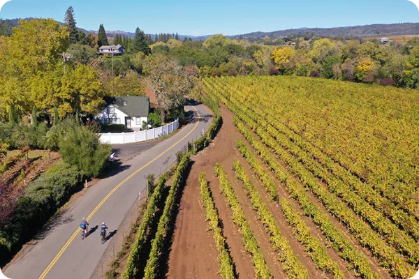 cyclists riding by farm land