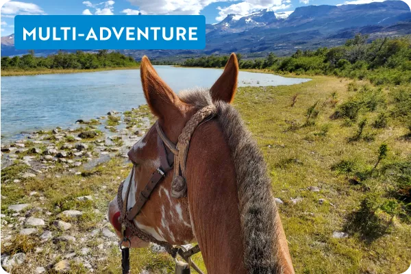Horse heading towards river