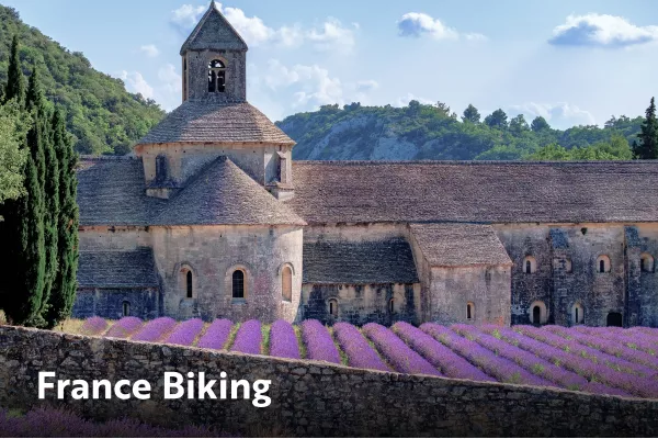 Church surrounded by bright purple flowers