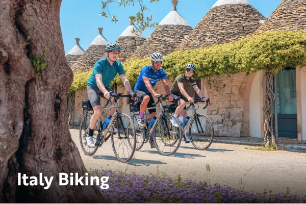 Three backroads guests cycling