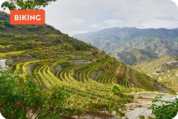 Hill in a valley with rows of crops
