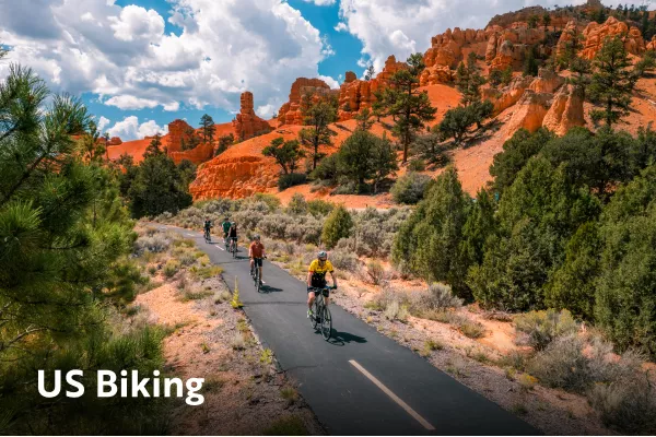 Fall foliage along a paved road with cyclists