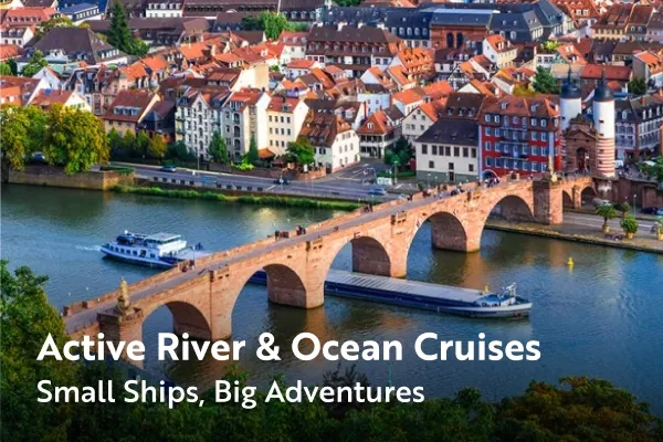 Cruise ship going under a bridge in the river
