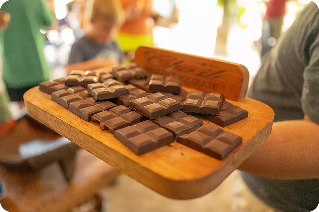 Chocolate bars on a wooden board