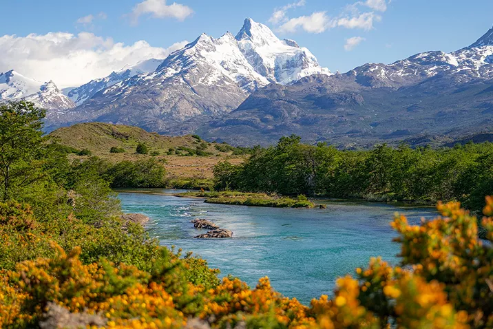 Lake surrounded by trees with a large mountain in the distance
