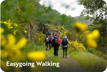 Backroads guests on a trail walk