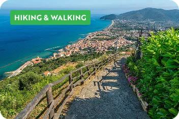 A steep road leading down to blue water