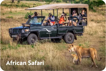 Backroads guests in a van on safari