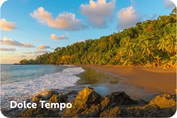 Beach with trees off the shore