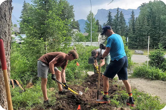 Volunteers planting trees