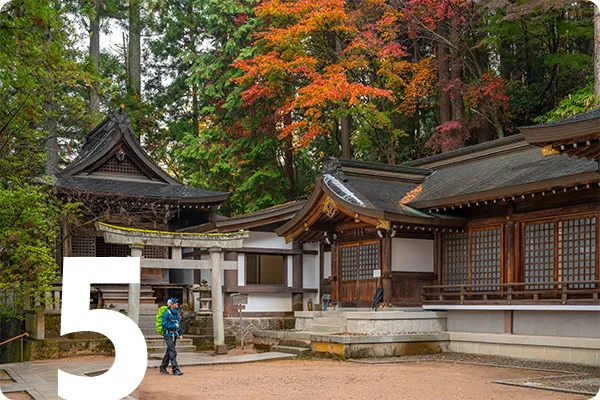 Backroads guest admiring architecture in Japan, text overlay: 5