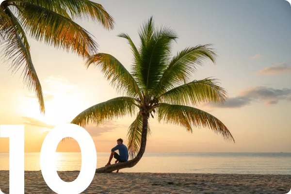 Person sitting on a palm tree on the beach with the sunset in the background